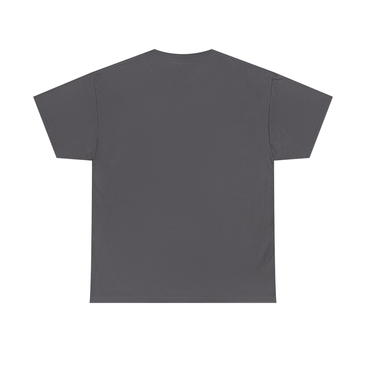 No Fear Spartan Helmet T-Shirt — "Sic Itur Ad Astra" Inspired Warrior Tee